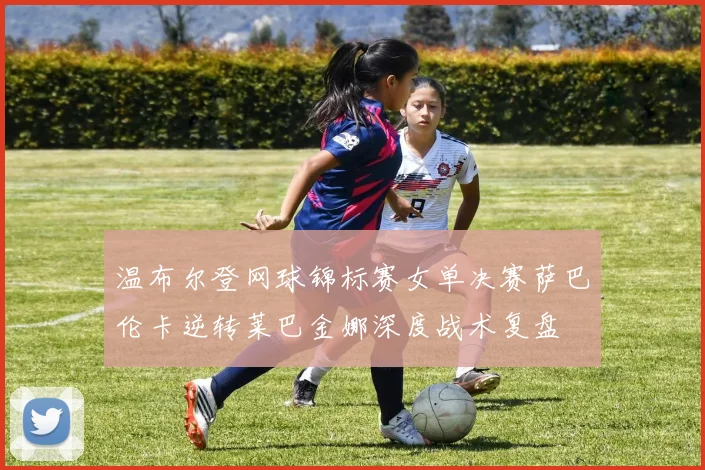 温布尔登网球锦标赛女单决赛萨巴伦卡逆转莱巴金娜深度战术复盘